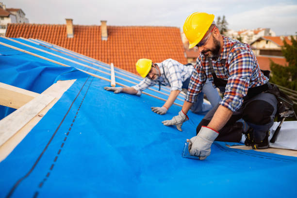 Best Roof Moss and Algae Removal  in Massillon, OH